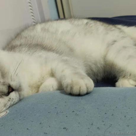 与舟_于2021-10-28 15:10发布的图片