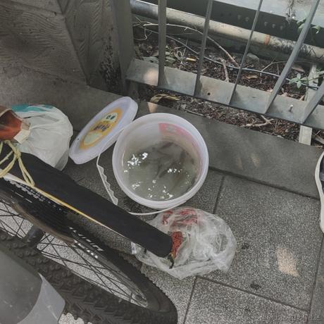 NikolaKovac于2023-07-02 12:05发布的图片