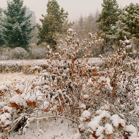 小旧_于2022-11-12 18:19发布的图片