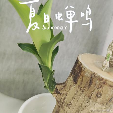 ScorpioSmile于2023-05-27 08:15发布的图片