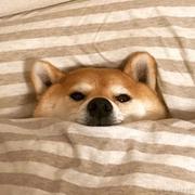 _luo的个人资料头像