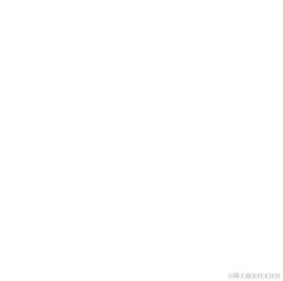 canvas18.gif