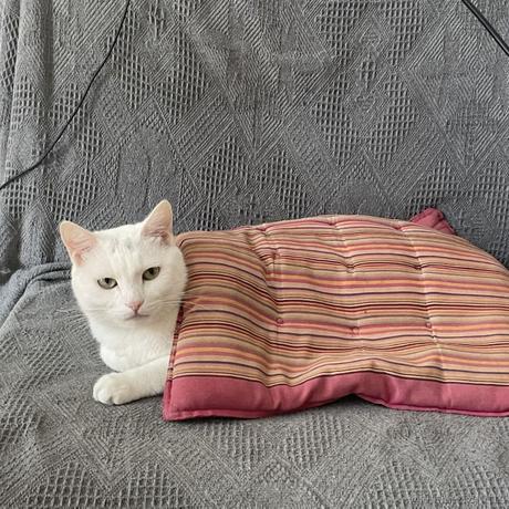 用户493228881198于2022-11-02 13:43发布的图片