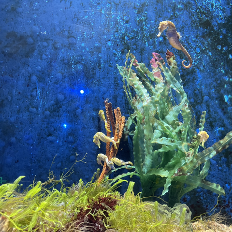 我是个靓崽于2023-04-23 22:39发布的图片