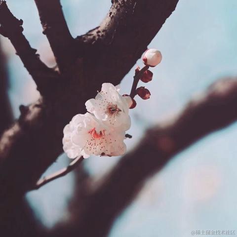 红毛丹于2022-03-07 10:18发布的图片