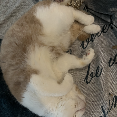 易墨于2024-05-26 19:24发布的图片