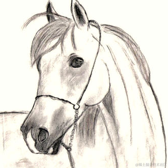 张鑫旭于2021-08-10 11:11发布的图片