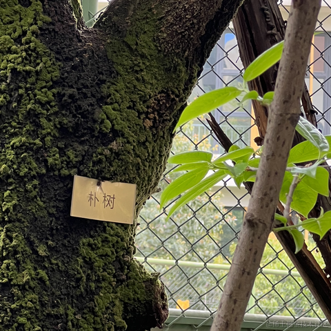 安酱于2023-04-22 09:21发布的图片