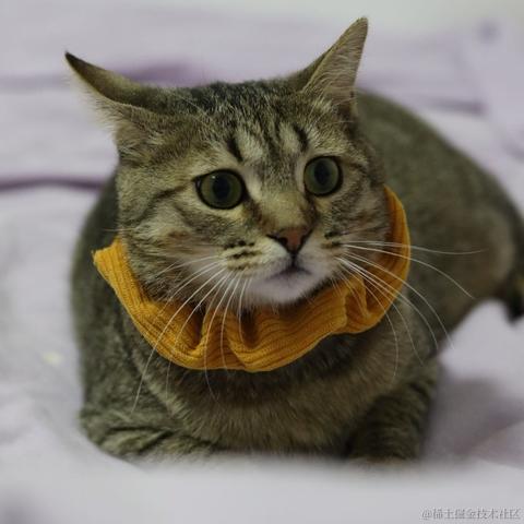 云里伴山于2023-05-19 16:22发布的图片