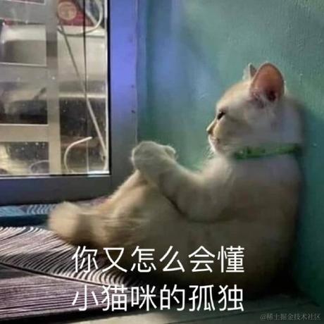 葳蕤繁祉于2022-12-27 18:27发布的图片