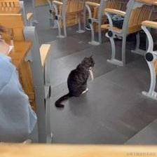 做人求其滴于2023-05-08 09:13发布的图片