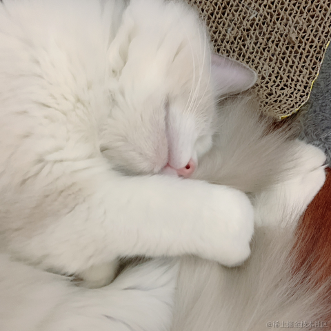 红a于2021-09-28 09:54发布的图片