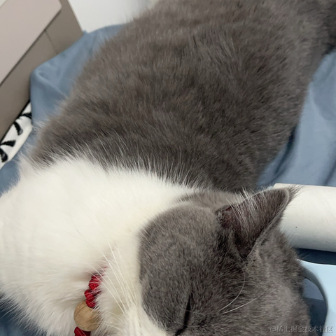 单纯_稀饭于2024-06-10 09:38发布的图片