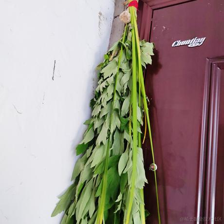 袁诺安于2023-06-20 08:03发布的图片