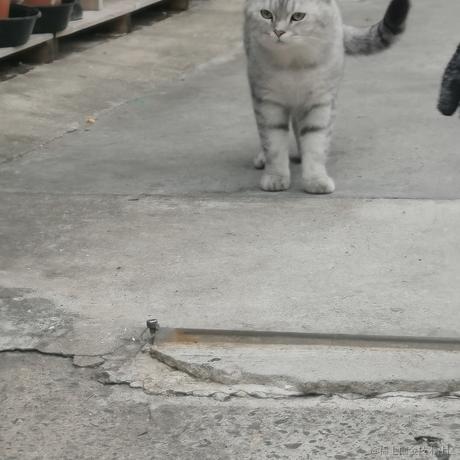 空城旧梦辞旧人于2022-11-12 17:04发布的图片