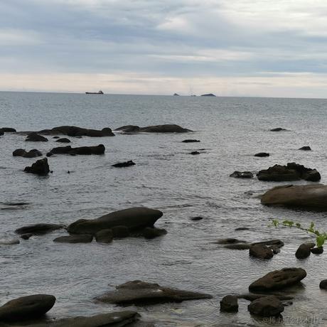 张某ZHK于2022-11-23 17:53发布的图片