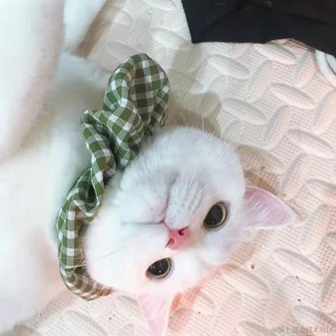 抖音开放平台于2021-10-28 14:21发布的图片