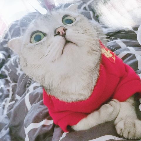 已注销于2022-02-20 12:56发布的图片