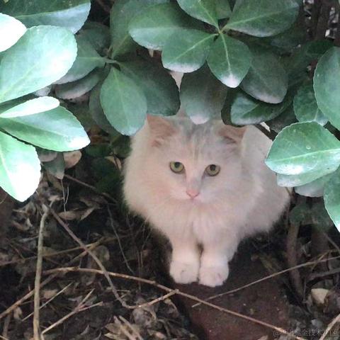 Aly于2021-12-24 08:41发布的图片