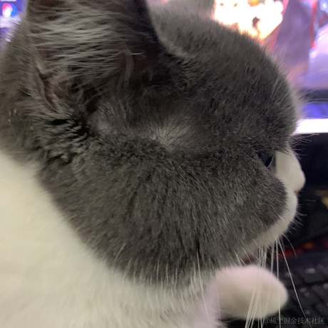 anYaoooo于2021-02-01 16:53发布的图片