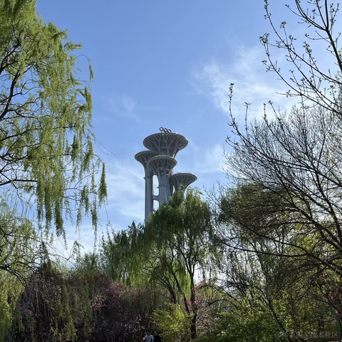 优秀稳妥的张豆蔻于2023-04-10 17:05发布的图片
