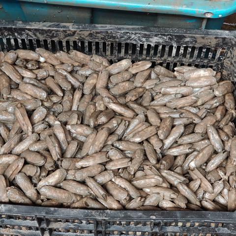 北半球的孤单于2023-06-23 12:29发布的图片