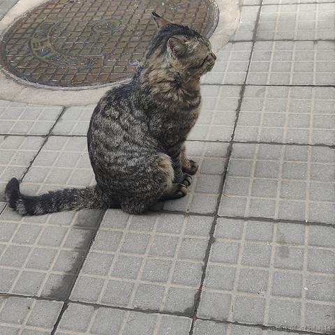 bysking于2023-05-05 13:36发布的图片