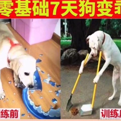 nothingToDo于2021-04-29 19:38发布的图片