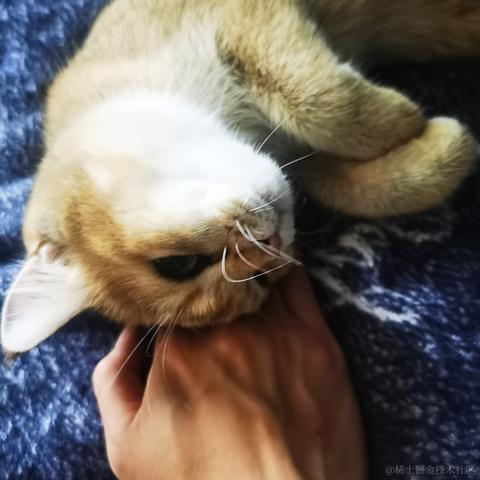 变成人守护嘉然小姐于2022-11-12 09:34发布的图片