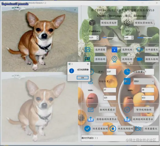 基于YOLOv5模型的120类狗狗检测识别系统V1.02167.png