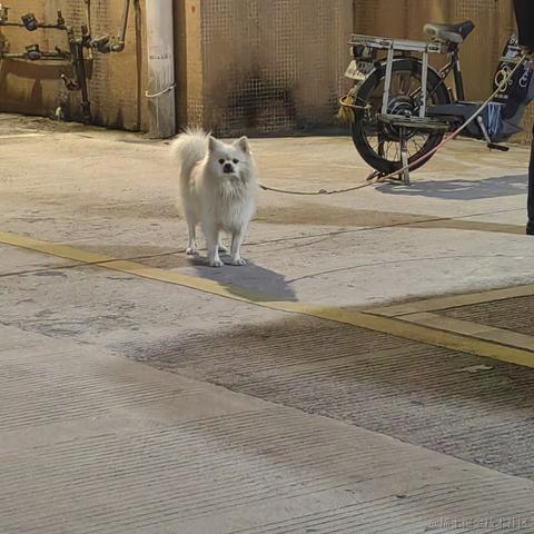 顶碗人1007于2024-01-13 00:12发布的图片