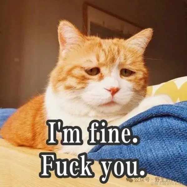 I'm fine, Fuck you