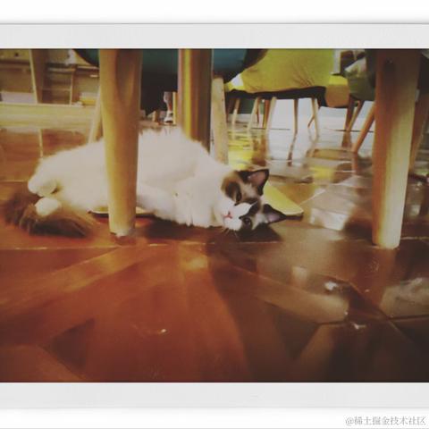 lanlan_于2023-04-08 23:27发布的图片