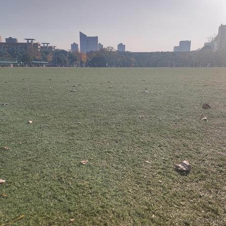 草莓捏于2022-11-16 09:54发布的图片