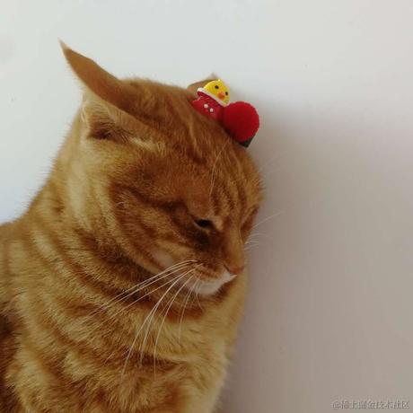 不打小怪兽于2021-11-16 10:23发布的图片