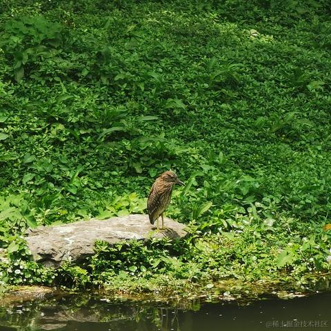小白7码于2022-06-08 12:55发布的图片