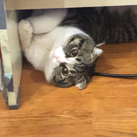 Daenery于2021-11-27 09:06发布的图片