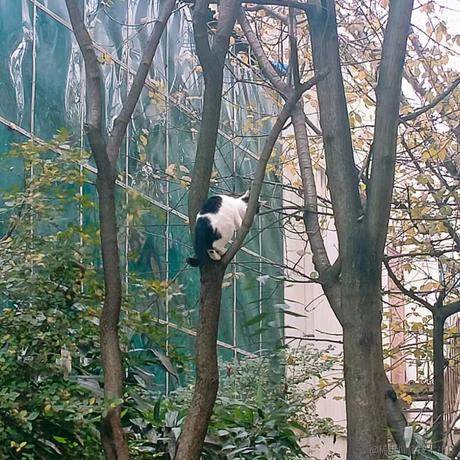 顾蘅于2022-11-25 15:25发布的图片