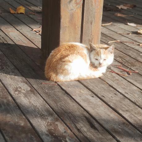 乃宝可爱捏于2022-11-24 09:05发布的图片