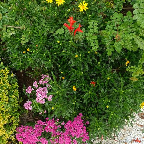 onetwo于2022-11-21 14:02发布的图片