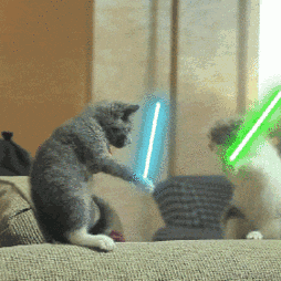 小阿天于2021-10-31 17:07发布的图片