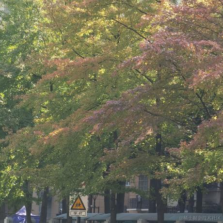 清夜白晞于2022-11-20 10:04发布的图片