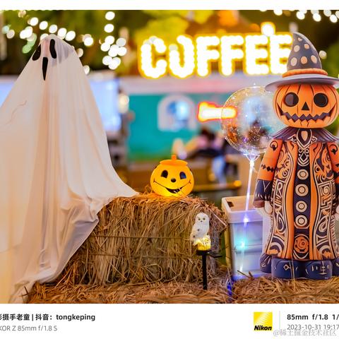 光影童于2023-11-02 09:57发布的图片