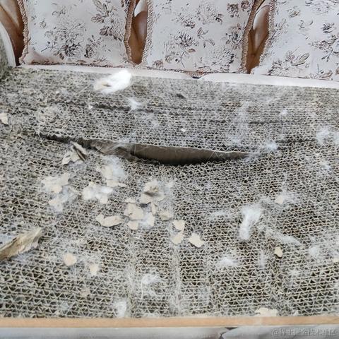 叨叨呀于2022-06-11 15:14发布的图片