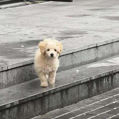 Aka_senyan于2022-11-18 21:08发布的图片
