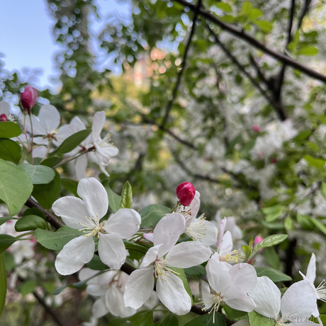 codeniu于2022-04-04 08:23发布的图片