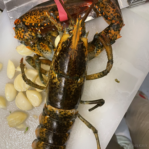 从热河到定西于2021-11-22 10:29发布的图片