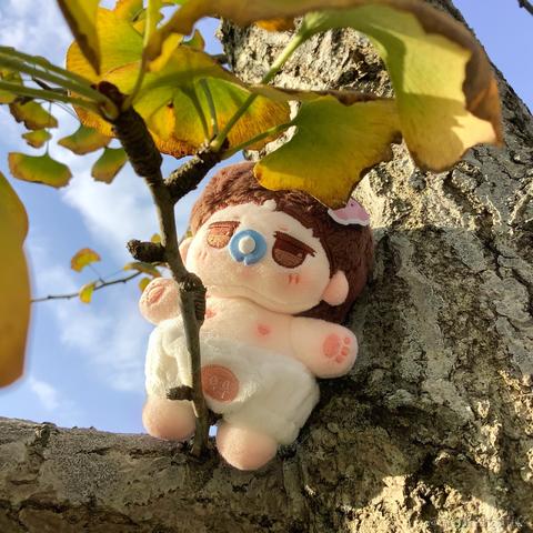 获得小狗青睐的骨头于2022-03-30 15:25发布的图片