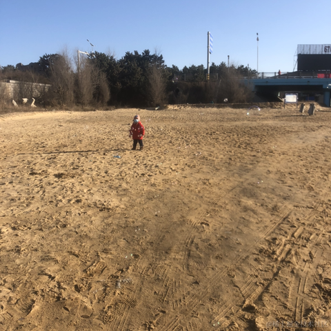 小道大成于2022-03-27 22:01发布的图片