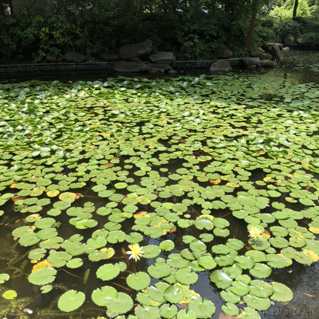 Remember_r于2022-11-17 08:20发布的图片